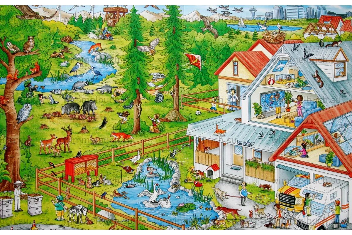 зоопарк виммельбух artbooks. виммельбух драконы. виммельбух пикник. виммельбух однажды соседи. карьяд виммельбух.