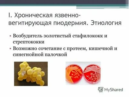 Хронического возбудитель