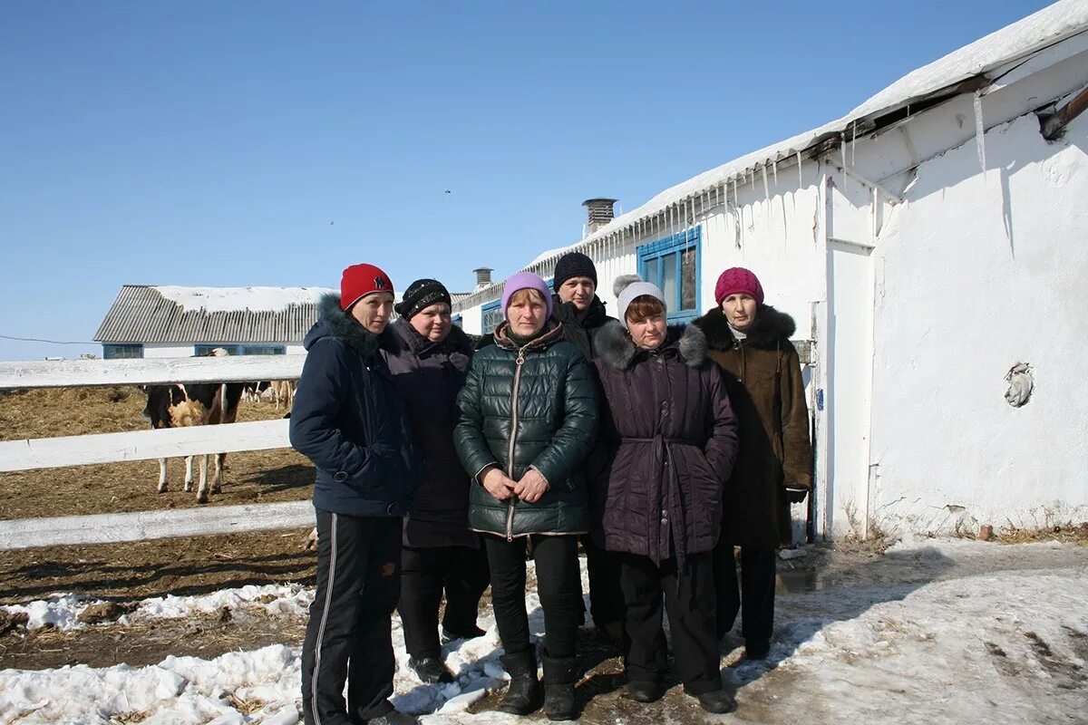 Агрофирма партизан амурская область. «партизан» агрофирма раздольное. Агроферма партизанское. Агрофирма партизан. Амурский партизан колхоз амурская область.