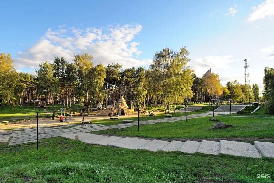 Парка воронеж каталог. Воронежский центральный парк, воронеж. Парк динамо воронеж. Парка воронеж каталог. Парк динамо.