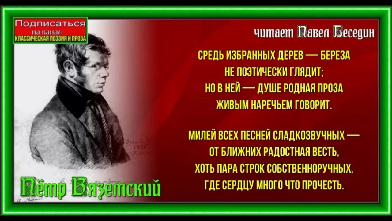 Вяземский береза. А вяземского. Иван алифан художник березы. Стихотворение берёза вяземский. Стихотворение берёза вяземский.