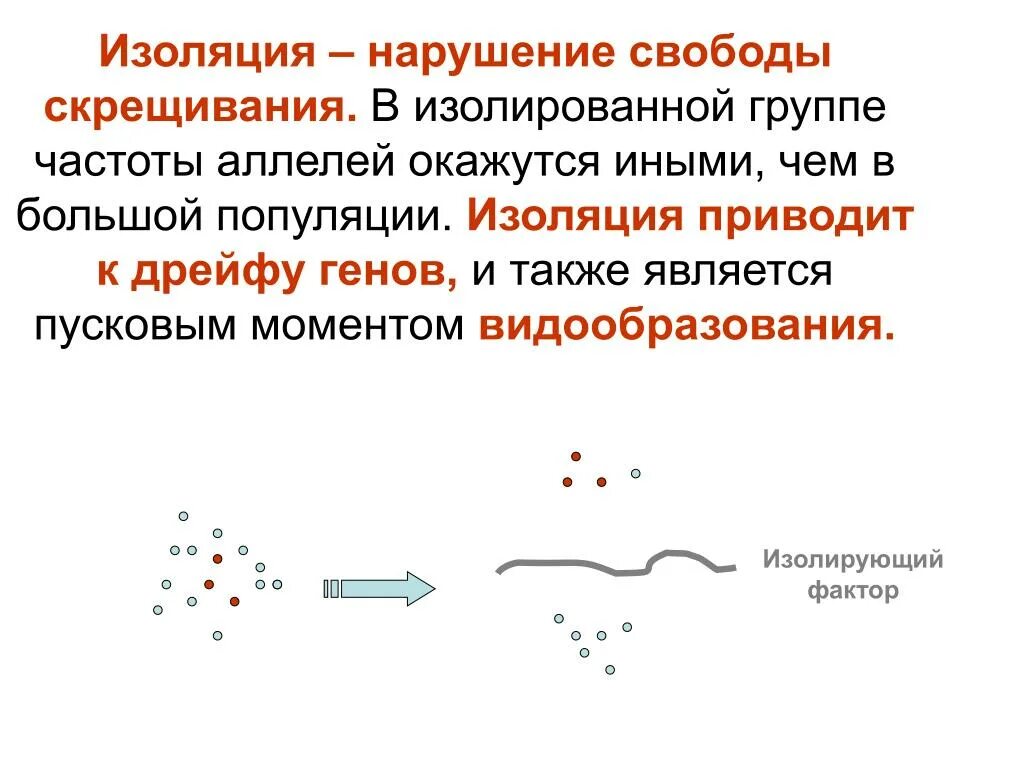 Изоляция дрейф генов. Популяционные волны дрейф генов изоляция. Дрейф генов фактор эволюции. Дрейф генов и изоляция как эволюционные факторы.