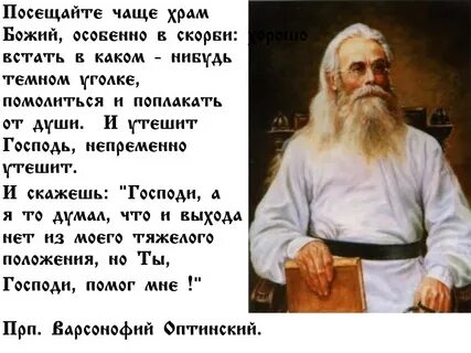 Чаще посещали