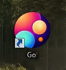 Go browser