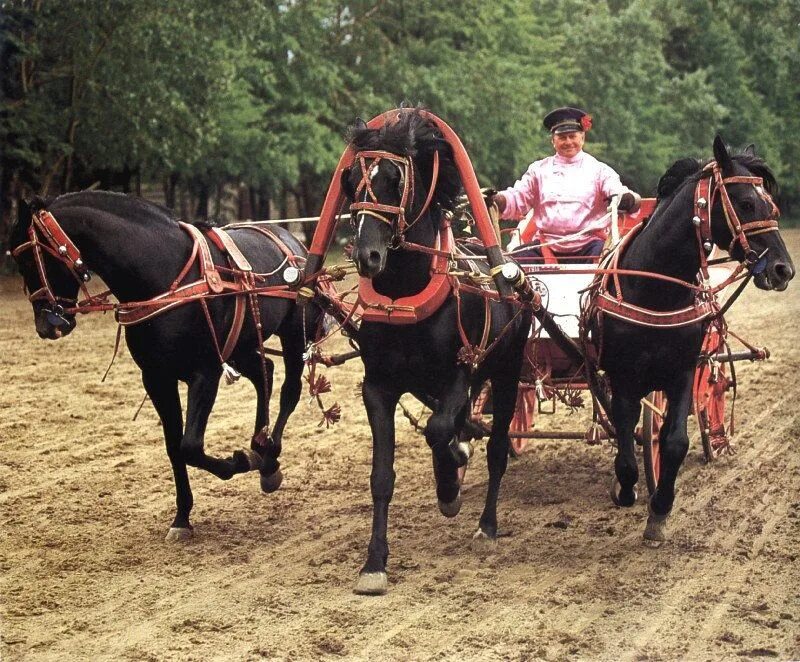Выполните действия (9. Ваз 2103 stance. 36. Ваз 2102 с мордой 2103. Тройка машина.