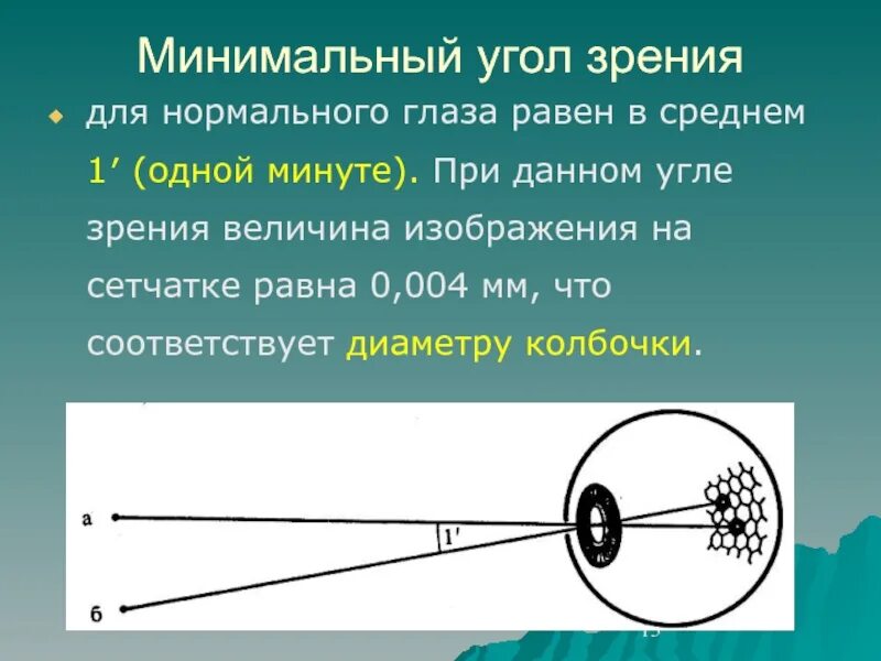 Точка лежащая зрение. Угол зрения. Минимальный угол зрения. Вертикальный угол зрения. Каков минимальный угол зрения глаза человека.