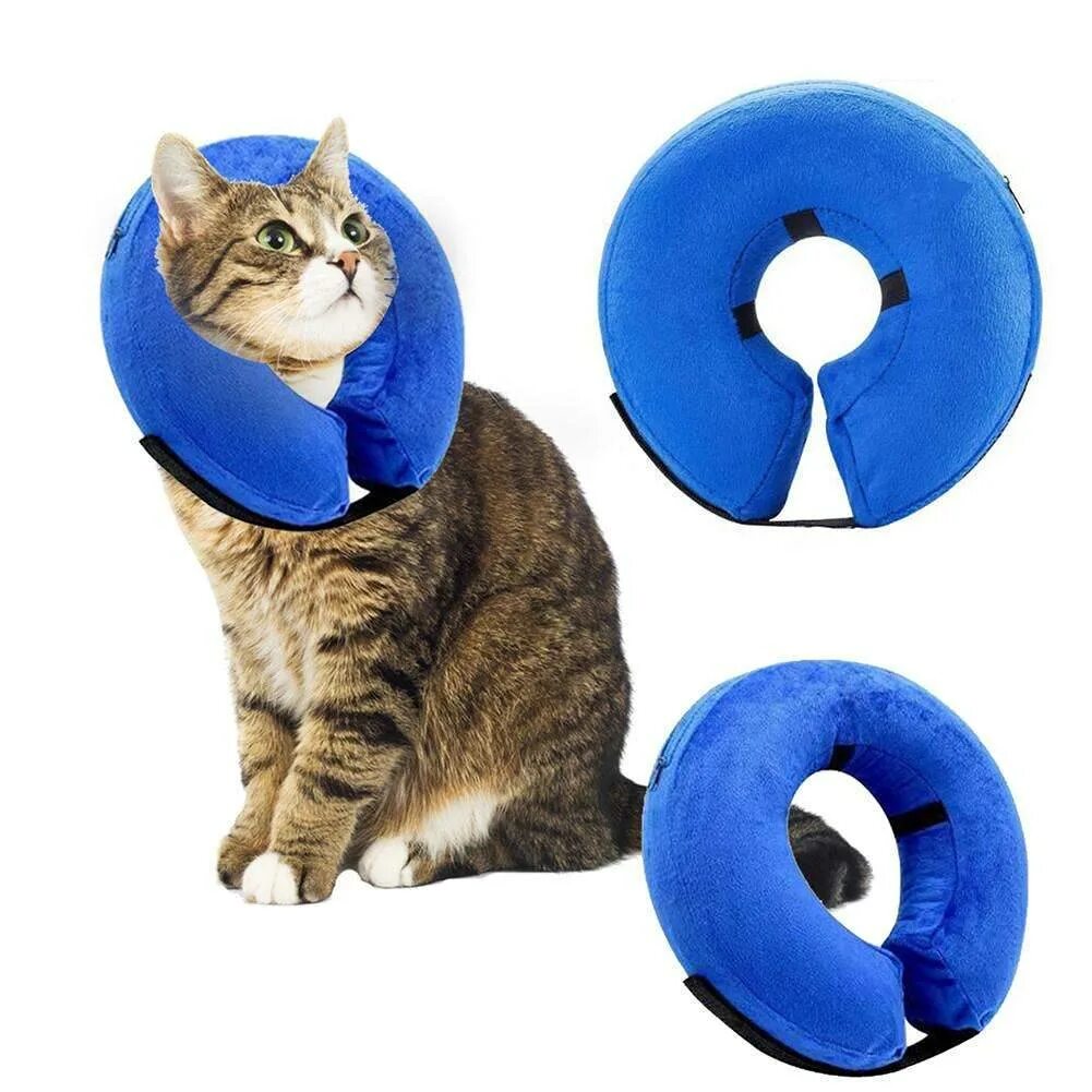 Послеоперационный воротник для кошек. Kruuse защитный воротник 40 см. Воротник для кошек после операции. Сколько коту носить воротник после кастрации. Елизаветинский воротник для кошек.