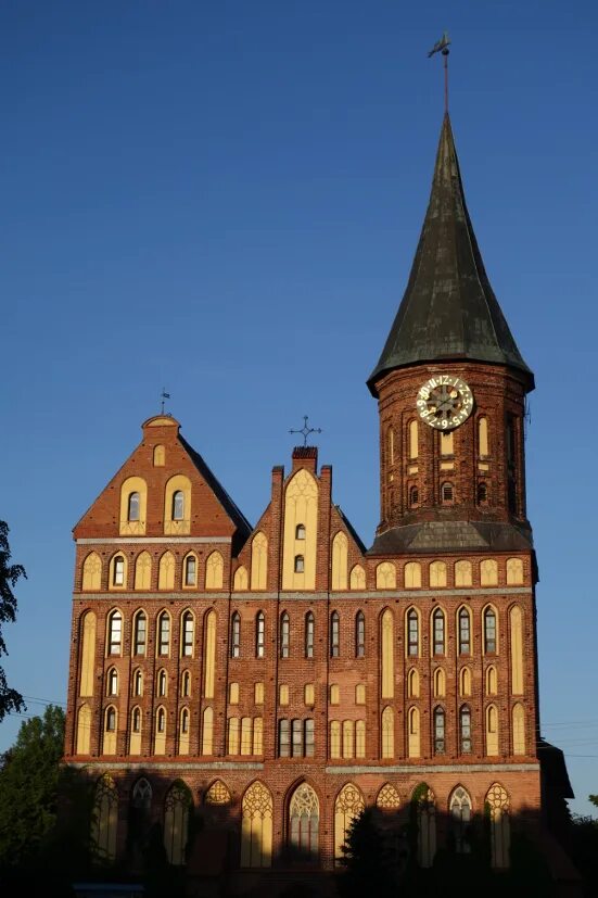 калининград музеи работают