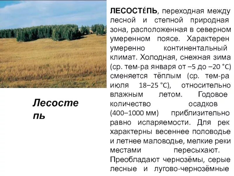 Климат лесостепи. Лесостепь это переходная зона. Климат лесостепи в России. Серые Лесные почвы лесостепной зоны. Лесостепи климат растения животные