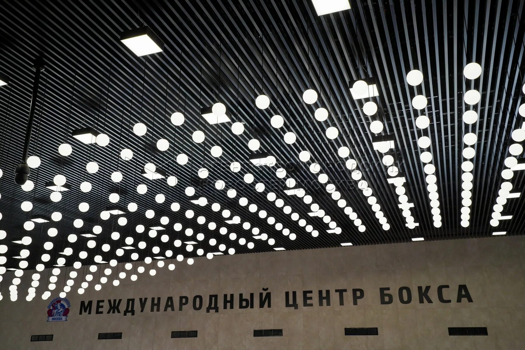 Международный центр самбо и Центр бокса в "Лужниках" откроется в 2021 году