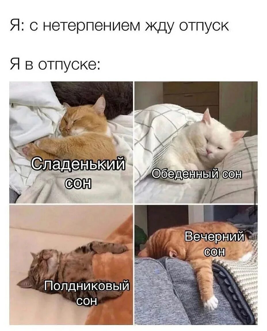 Сон ждать бывшую. Обеденный сон прикол. анекдоты про обеденный сон. выходные юмор. смешные мемы позитивные.