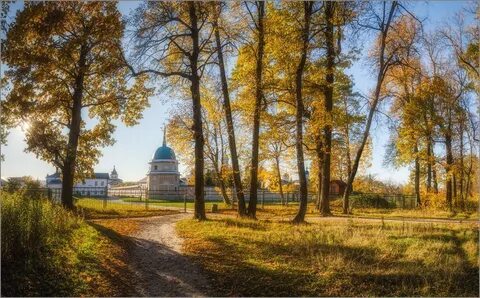 Пустынь читать