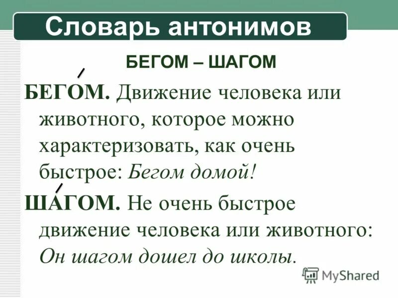 толковый словарь анонимы