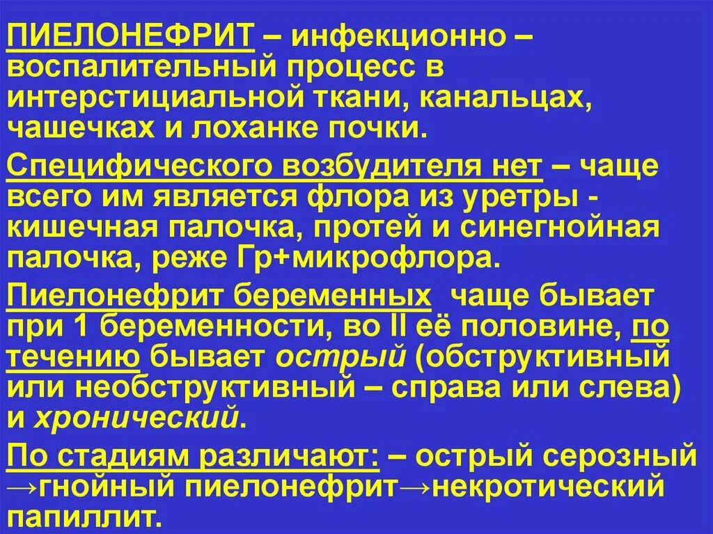 Инфекционно воспалительный процесс. Кишечная палочка пиелонефрит. Инфекционные заболевания воспалительные процессы. Возбудители пиелонефрита.