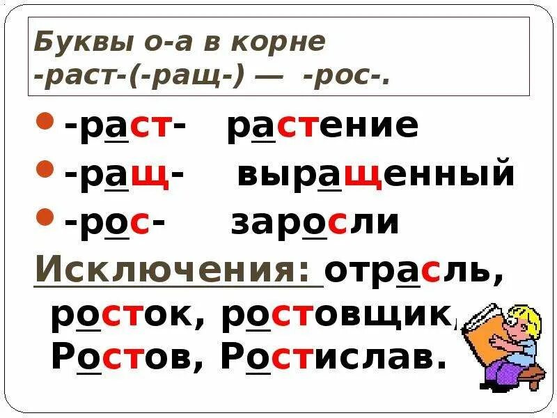 Слова с корнем раст ращ рос. Орфограмма раст ращ рос. Правило раст рос ращ в корне слова 5 класс. Корни раст рос ращ.