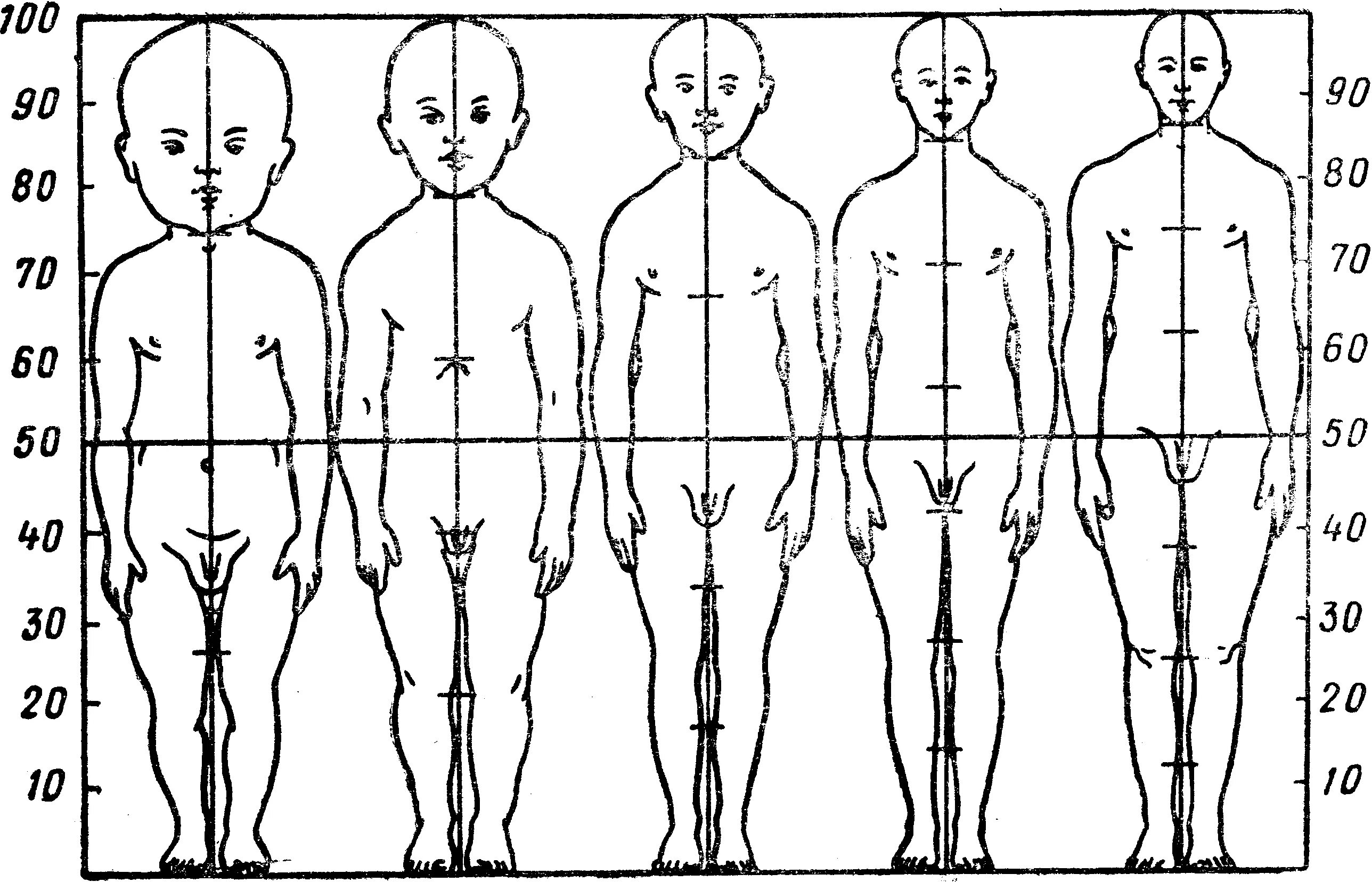 Пропорции тела ребенка изменяются с возрастом.. Пропорции детского тела в возрастном. Изменение пропорций тела человека. Схема пропорций тела ребенка.
