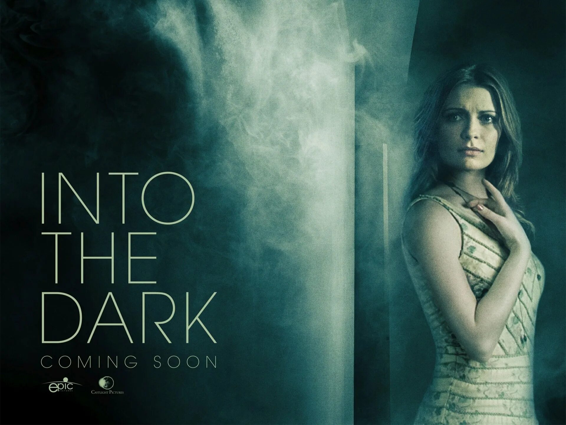 I ll follow you into the. Навстречу тьме сериал постер. into the dark фильм. я пойду за тобой во тьму (2012). тьма постер.