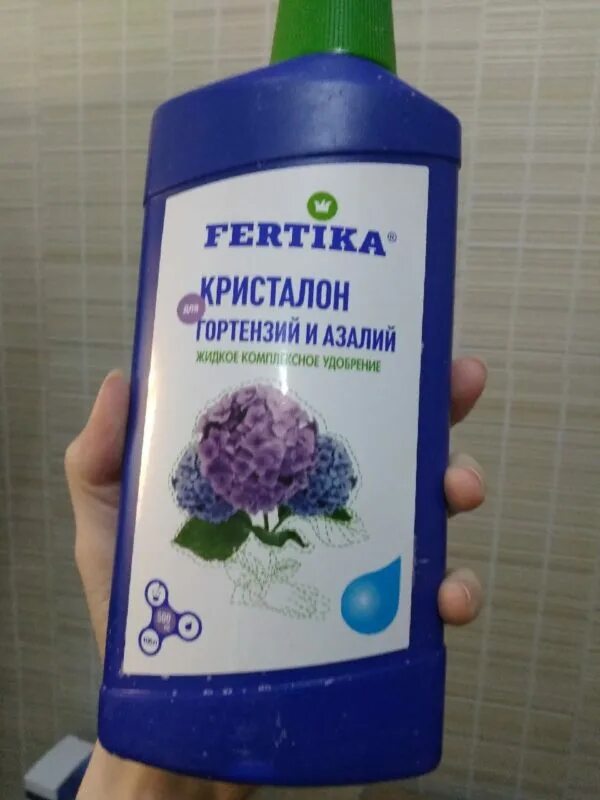 Подкормка гортензии ранней весной