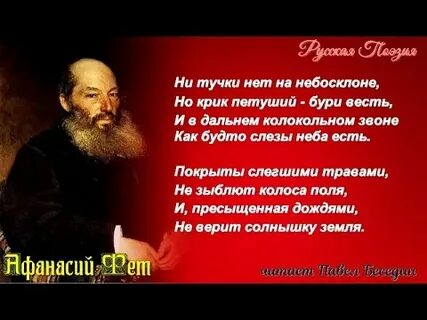 Фет стихотворение ель рукавом мне