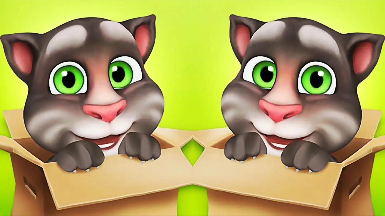 Дата игры том. Игра my talking Tom. Talking Tom 2013. My talking Tom 2. Му Талкинг том 2.