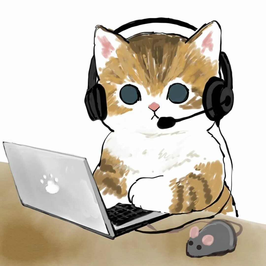 Php cat 1
