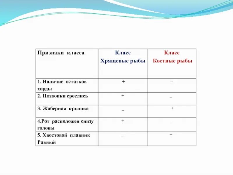 Рыбы сравнение таблица. Сравнительная характеристика хрящевых рыб таблица 7 класс. Таблица сравнения характеристик хрящевых и костных рыб. Сравнительная характеристика костных и хрящевых рыб 7 класс. Сравнительная характеристика класса костные и хрящевые рыбы таблица.