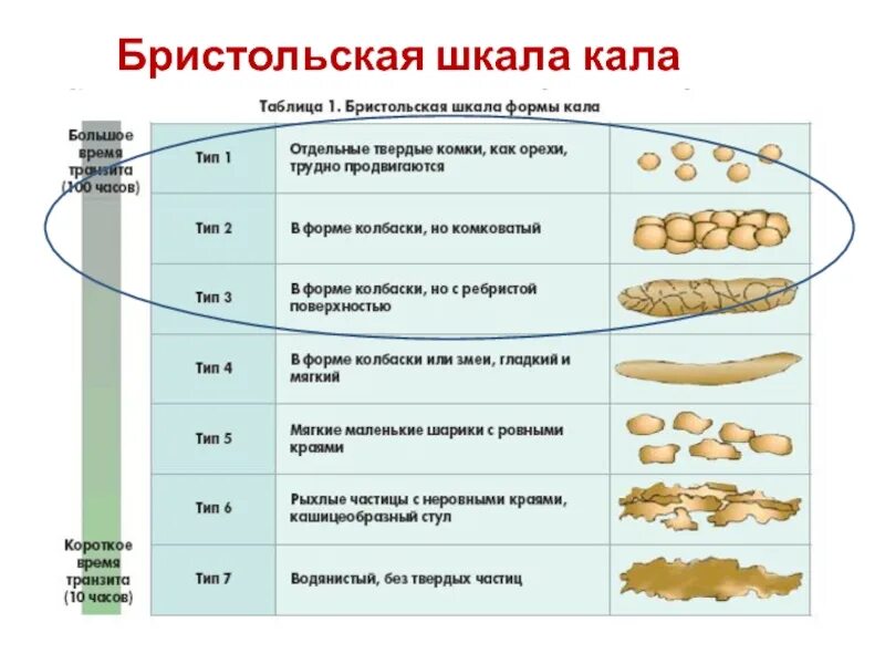 Бристольская шкала формы стула Тип 2. Бристольская классификация формы кала. Стул Тип 6 по Бристольской шкале. Норма кала по Бристольской шкале. Шкала кала по бристольской шкале