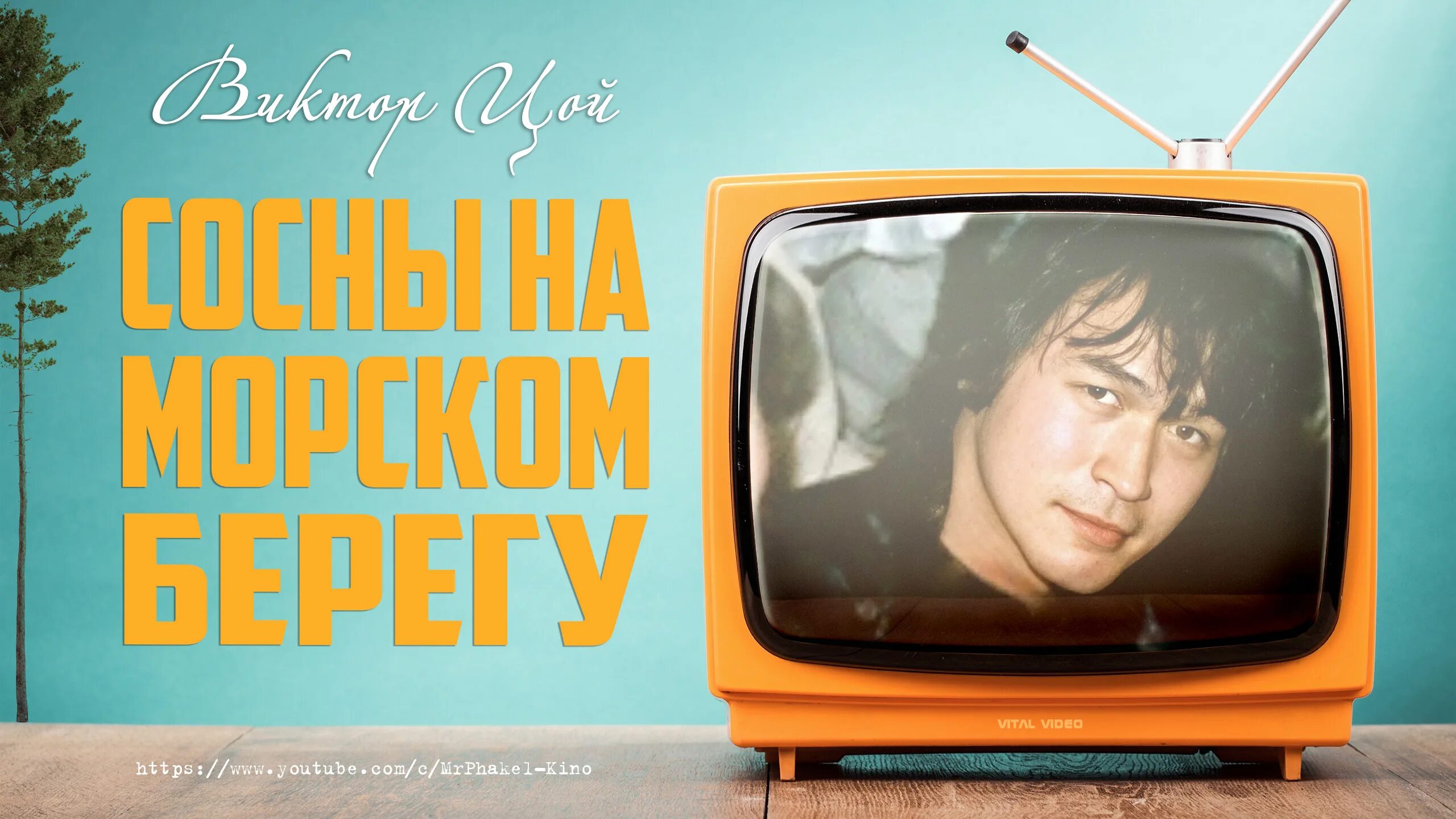 Цой в крыму фото 1982. Кино цой сосны на морском берегу. Цой с гитарой. Виктор цой сосны на морском берегу. Виктор цой в соснах.