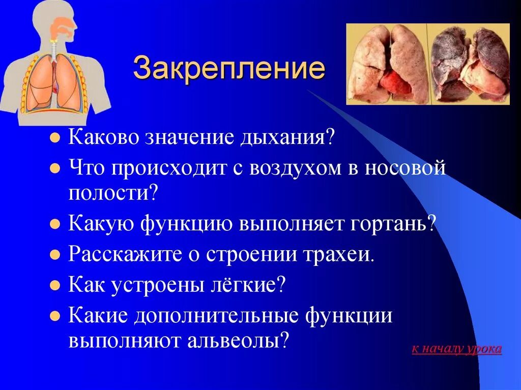 Вдох значение. Презентация на тему дыхание. Органы дыхательной системы презентация. Вопросы на тему дыхание. Органы дыхания для презентации.