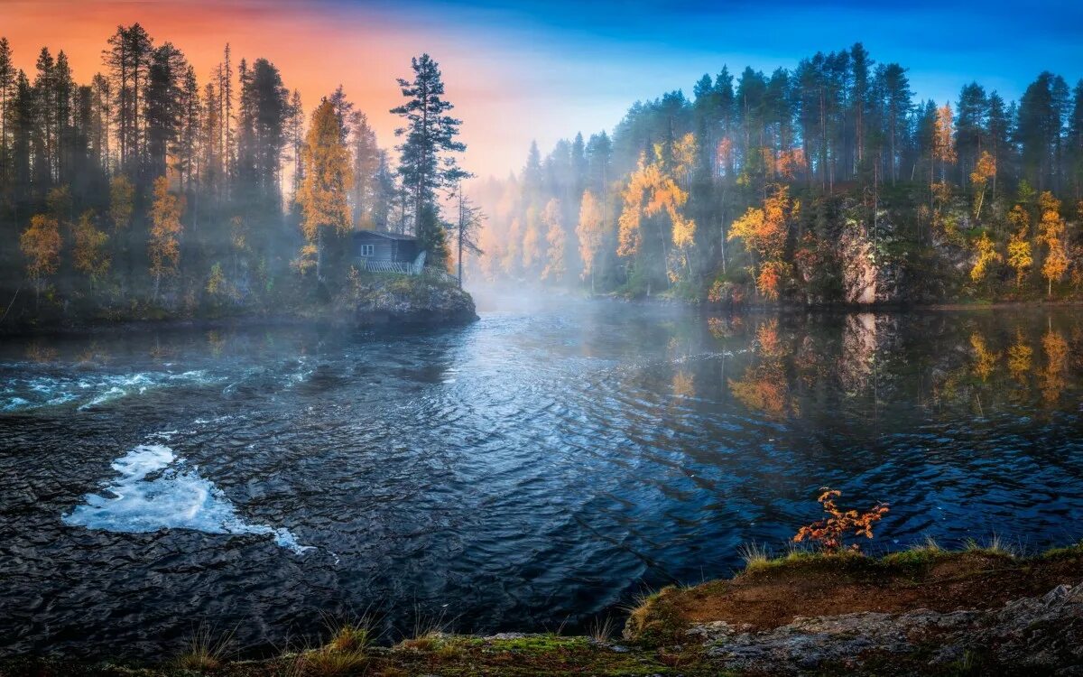 Природа лес озеро. Озеро в тумане. Вода в природе. Лес и вода.