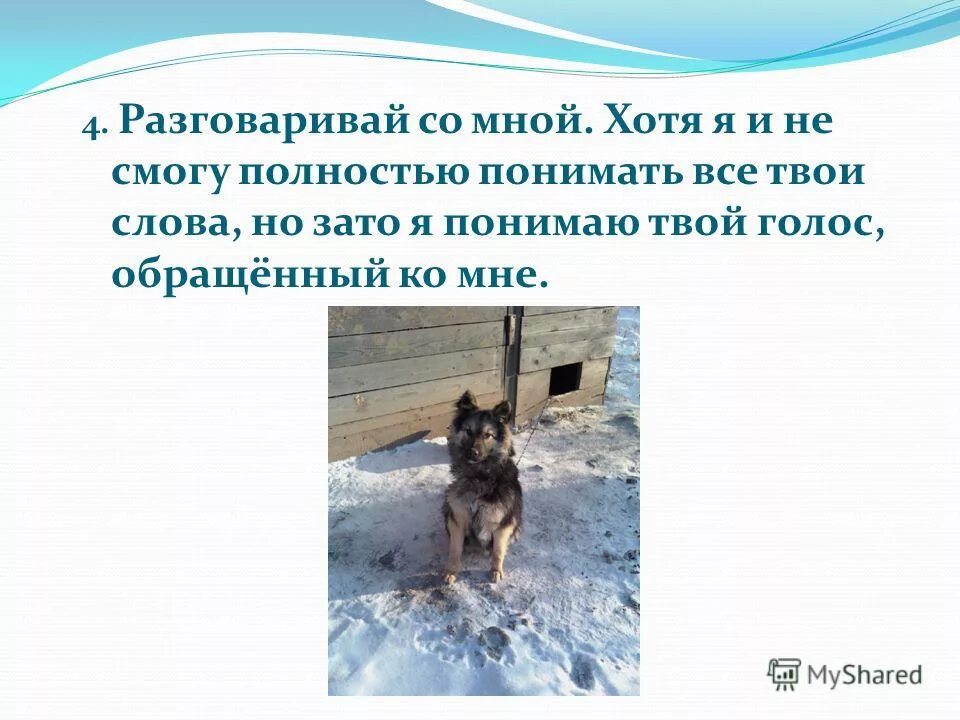 Кто такой толмач. Толмач когда появилось слово. Что значит толмач. 4 поговори. Моя будущая профессия судья эссе.
