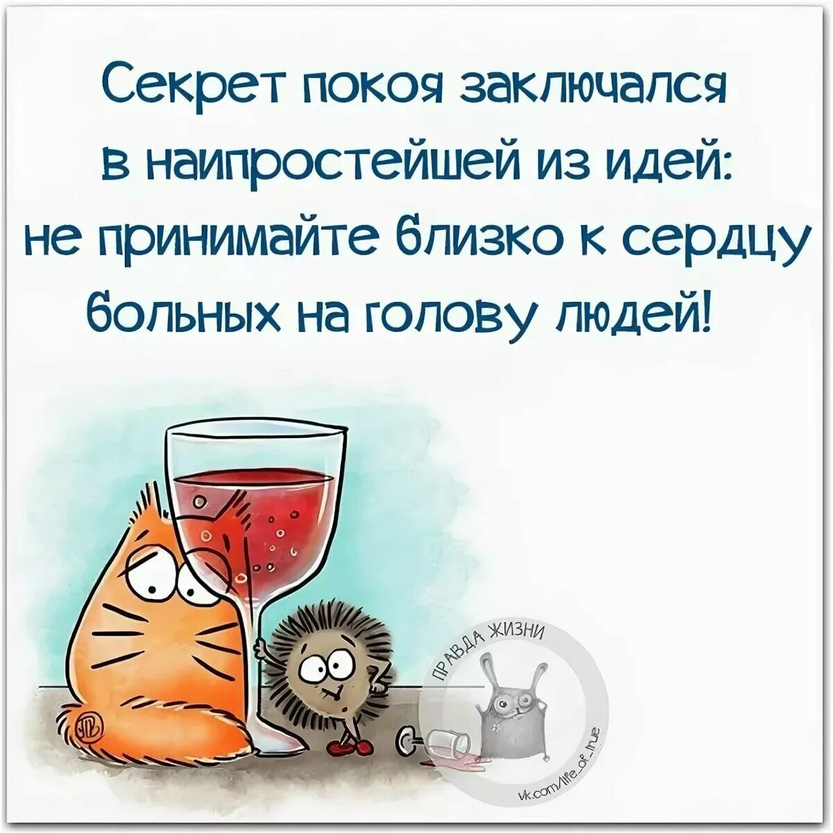 Умные мысли в картинках с юмором. Умные и веселые высказывания в картинках. Смешные и мудрые высказывания. Прикольные высказывания. Высказывания о жизни с юмором.