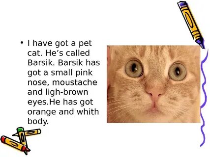 My sister has a cat
