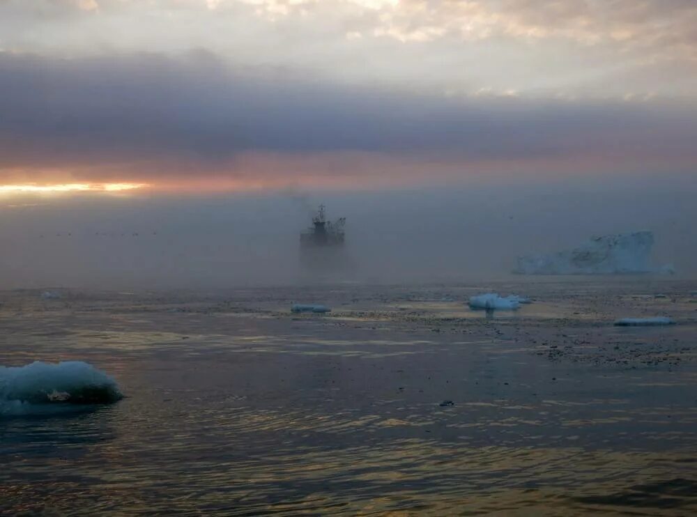 Чукотское море величина приливов. Покажи чукотское море. Остров у северного побережья чукотки. Чукотское море интересные факты. Покажи чукотское море.