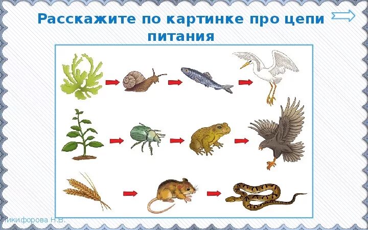 Цепь питания 3 класс окружающий мир схема. Цепь питания Луга 3 класс окружающий мир. Модель цепи питания 3 класс окружающий мир. Цепи питания задания для 3 класса. Составить цепи питания 3 класс окружающий