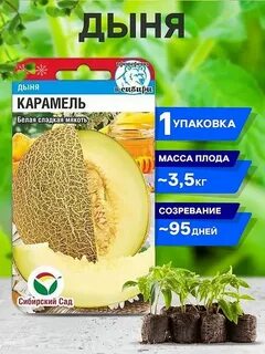 Семена дыня отзывы