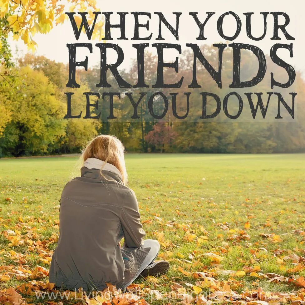 Сериал друзья воссоединение. Friends down. 2023. Celebrate friends together banner. В кругу друзей фото.