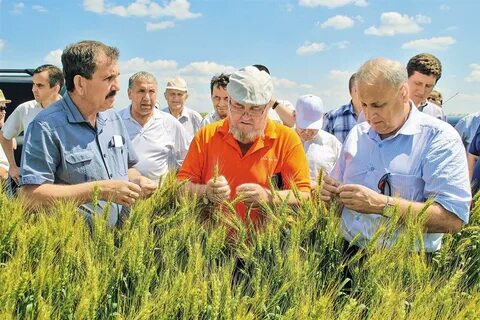 Погода александровка самарская область большеглушицкий