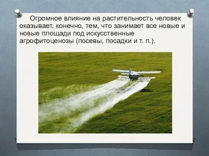 Какое влияние оказывает человек на растительный мир