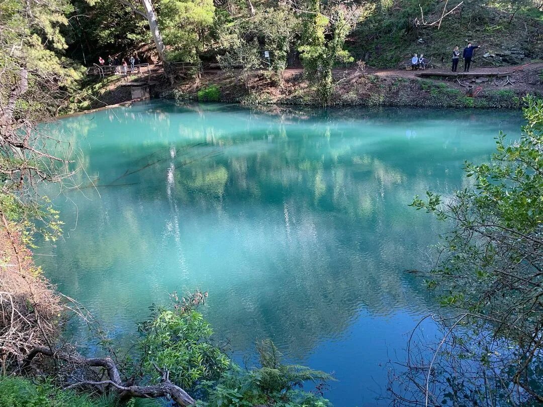 Озеро с бирюзовой водой в ЕАО. Озеро с бирюзовой водой завод Новосибирск. Бойнице Словакия с бирюзовой водой. Голубое озеро Австралия. Это озеро привлекает туристов