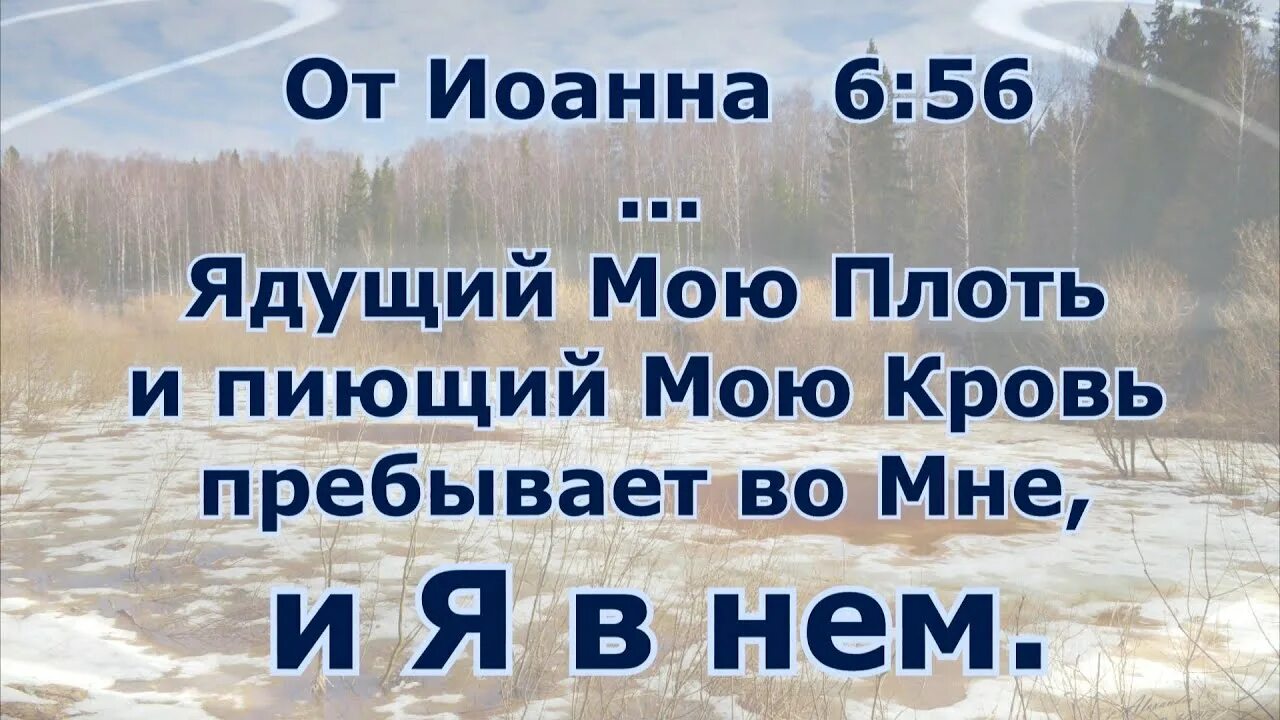 Кто не будет есть плоти. Ешьте плоть мою пейте кровь. Вечеря господа. Кто не будет есть плоти.  6:54).