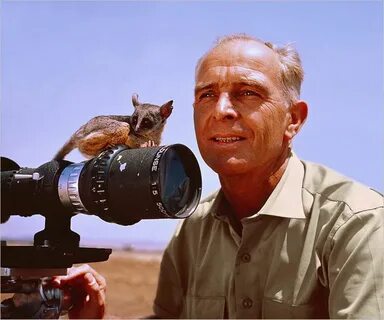 Фотография зоолога