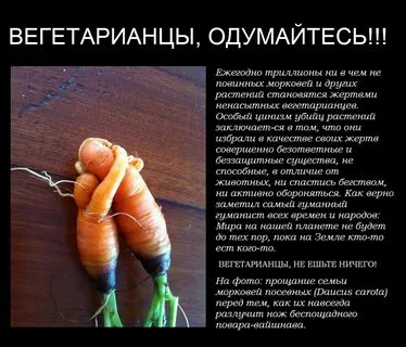 Анекдоты про овощи