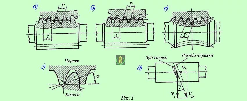 Архимедов червяк имеет трапецеидальный профиль резьбы в. Червяк резьба. Конволютный червяк. Цилиндрический и глобоидный червяк. Архимедов эвольвентный и конволютный червяк.