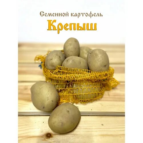 Сорт картофеля Крепыш - описание, характеристики, плюсы и минусы