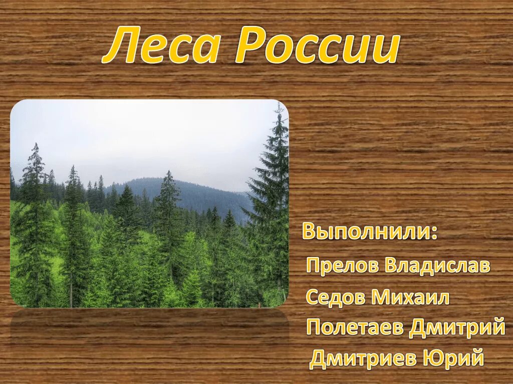 Зона леса россии 8 класс