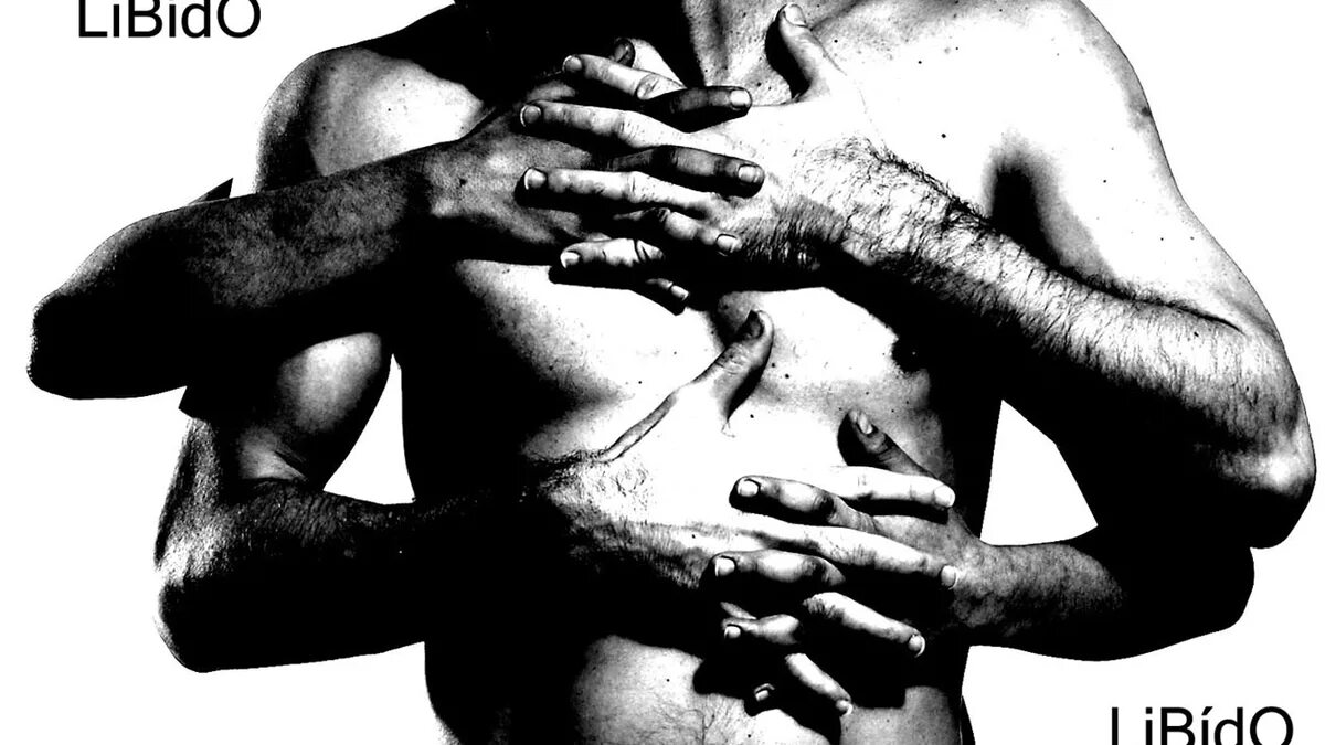 Влечение это в психологии. Влечение по фрейду. Влечение по фрейду. Влечение по фрейду. Влечение фрейд.