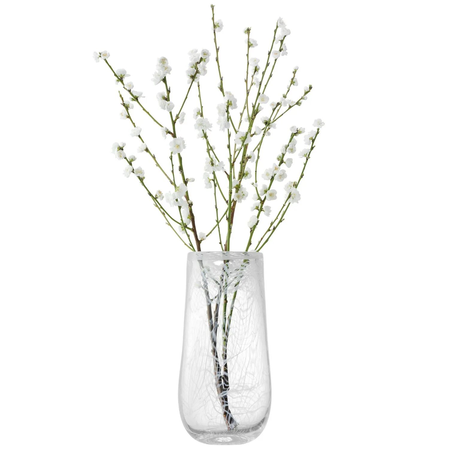 ваза с декоративными ветками. ветки в стеклянной вазе. ветки в вазе. ветки в вазе. ваза с ветками.