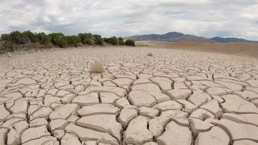 Kuraklik belgesekl. Shik hydrating emulsion. Kurak a boec. Фото солнце на западе. Over / [ду.