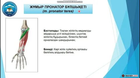 Жетілген құлдық секс бейнелерін табыңыз